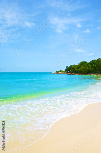 Fototapeta Naklejka Na Ścianę i Meble -  beach and tropical sea under the bright blue sky at summer day
