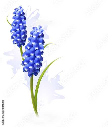 Nature background with blue flowers. Vector
