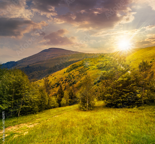 path through the forest in mountains at sunset