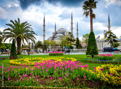 Canvas Print Istanbul the capital of Turkey, eastern tourist city.