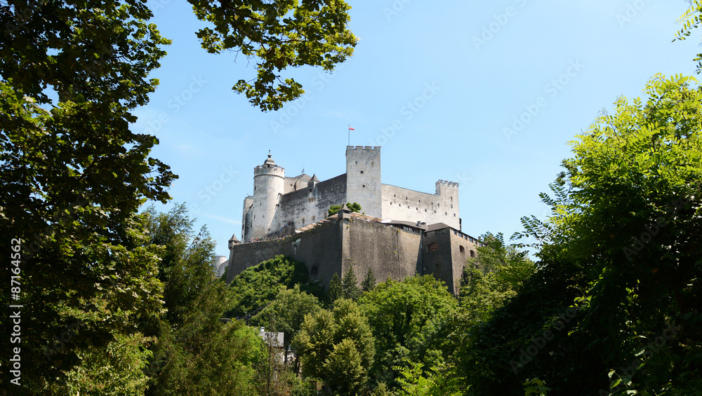 Hohensalzburg Fortress framed by trees in Salzburg