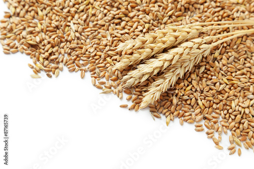 Wheat grains on a white background