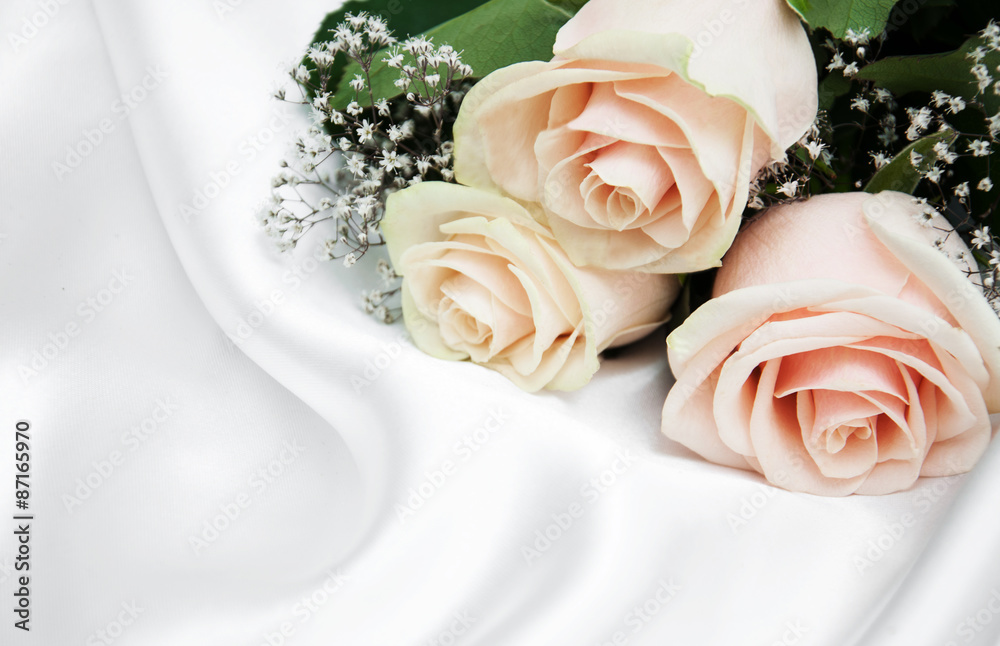 roses on white silk background roses on white silk background