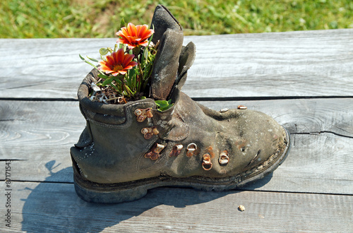 Alter Wanderschuh als Blumentopf