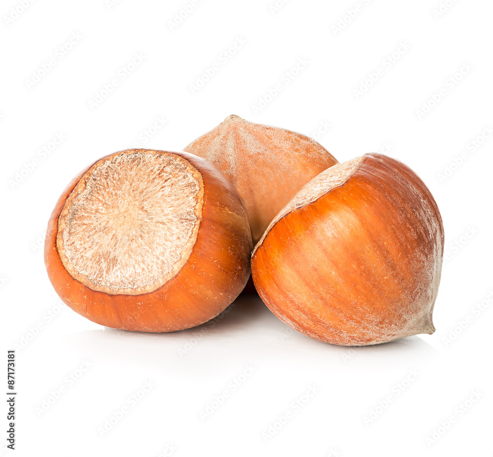 Hazelnuts isolated on white background Hazelnuts isolated on white background