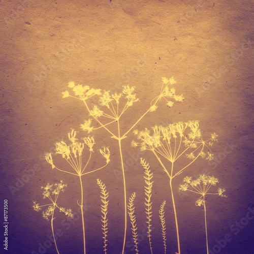 Sepia Vintage card with Leaf, flowers and Old Paper Texture.