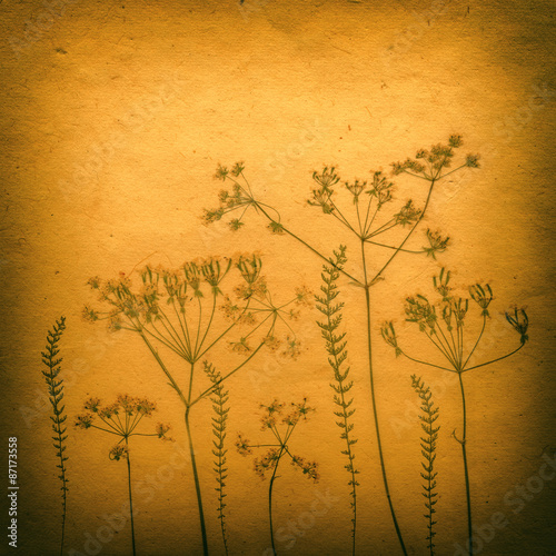 Sepia Vintage card with Leaf, flowers and Old Paper Texture.