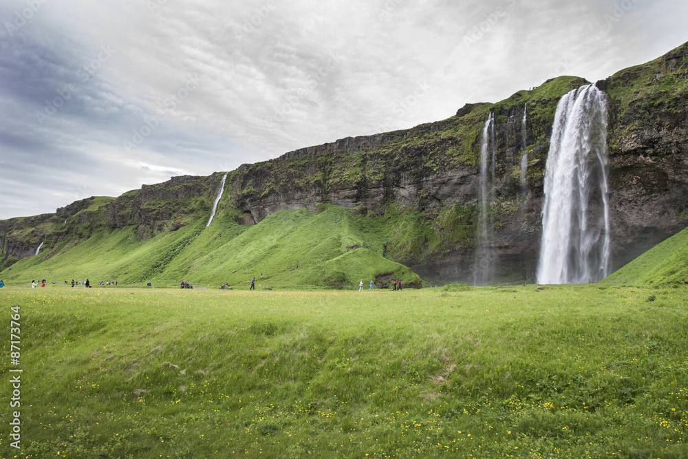 Fototapeta premium Iceland - Waterfall of Seljalandsfoss