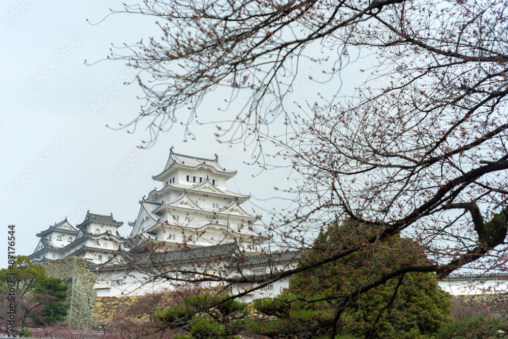 Himeji castle with white cherry blossom trees. Himeji castle with white cherry blossom trees.