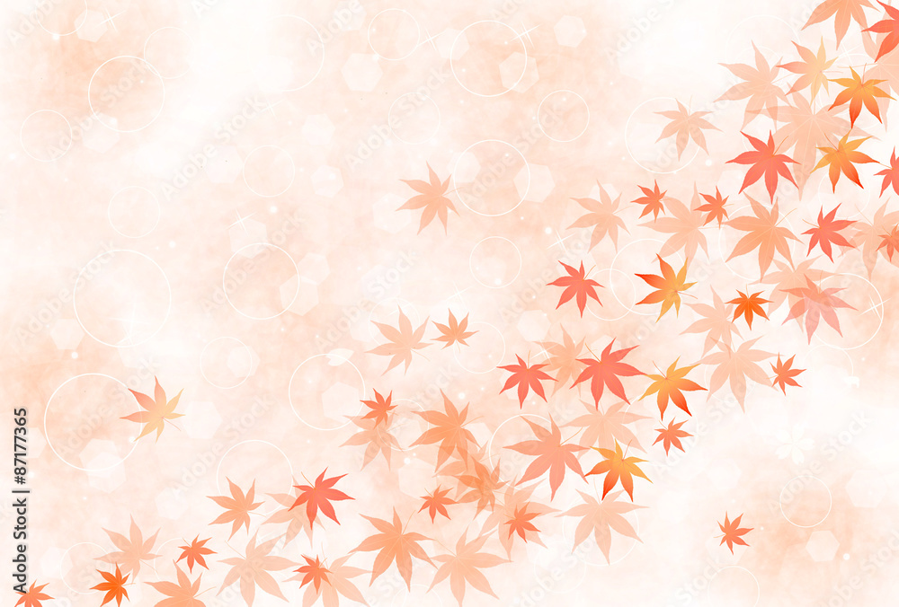 もみじ 紅葉 背景 もみじ 紅葉 背景