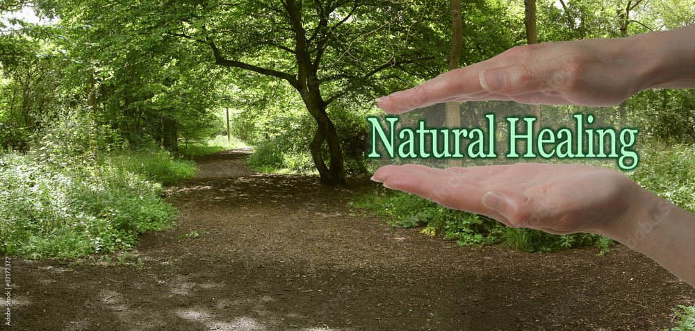 The Path To Natural Healing - female parallel hands with the words Natural Healing floating between on a green woodland path background depicting the path to natural healing - obrazy, fototapety, plakaty 