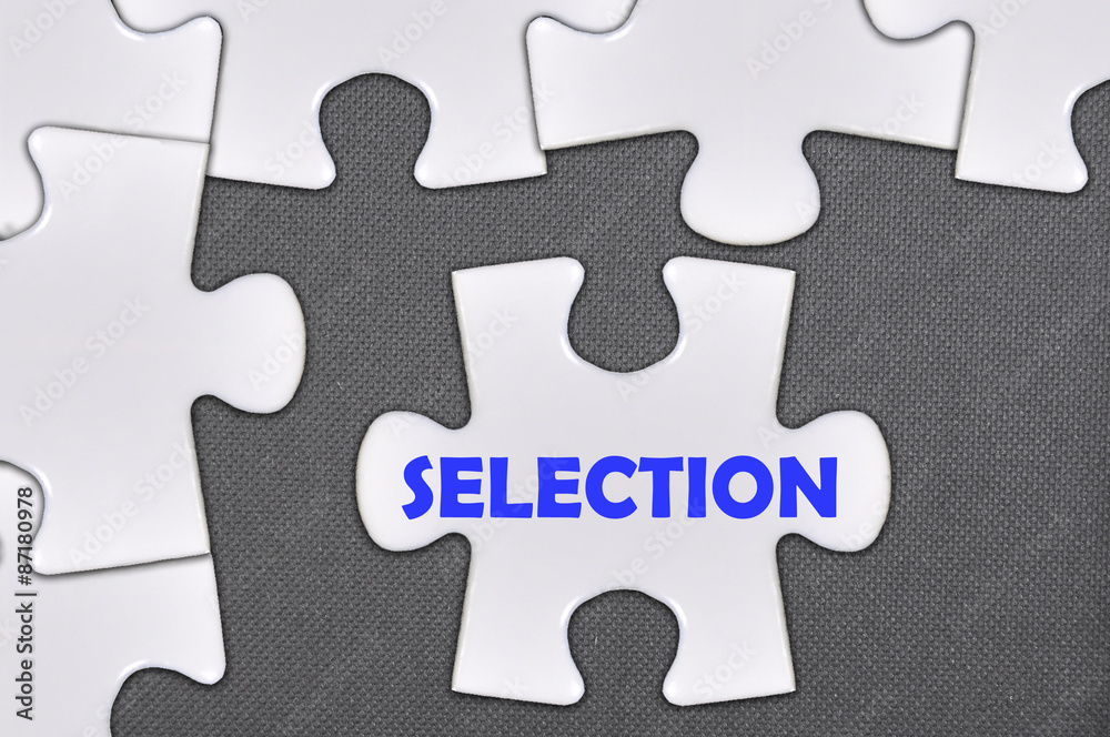 Fototapeta premium jigsaw puzzle written word selection