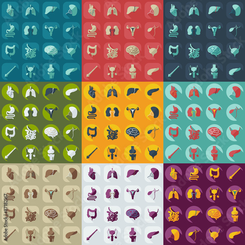 Flat concept, set modern design with shadow human organs 