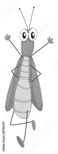 Grasshopper
