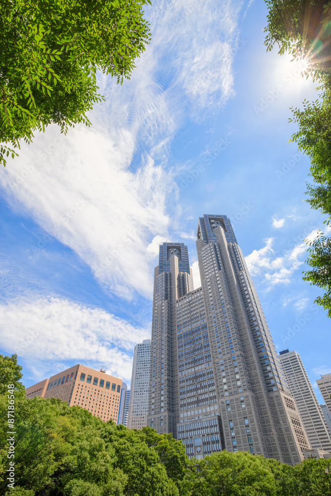 東京都庁舎 都庁 Stock Photo | Adobe Stock