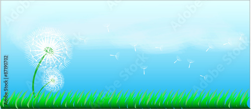 dendelion and grass on blue sky background,vector illustration
