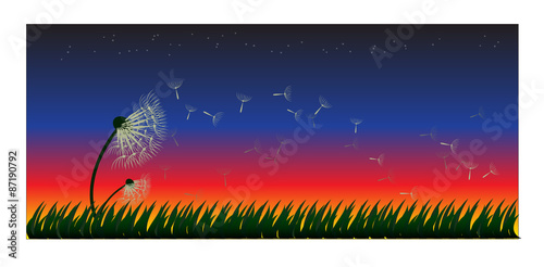 dandelion and grass on twilight background,vector illustration