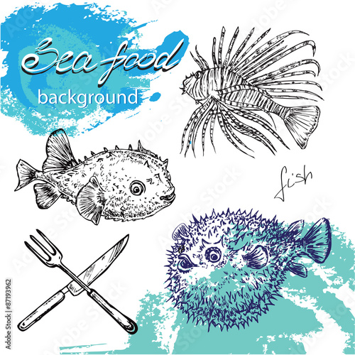 hand drawn seafood collection
