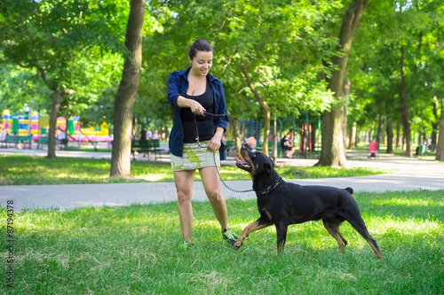 Rottweiler are trained in the park