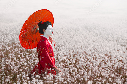 Quadro su tela Portrait of a woman in geisha makeup standing on the field