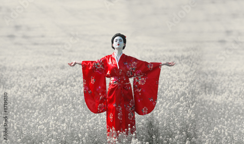 Canvas-taulu Portrait of a woman in geisha makeup standing on the field