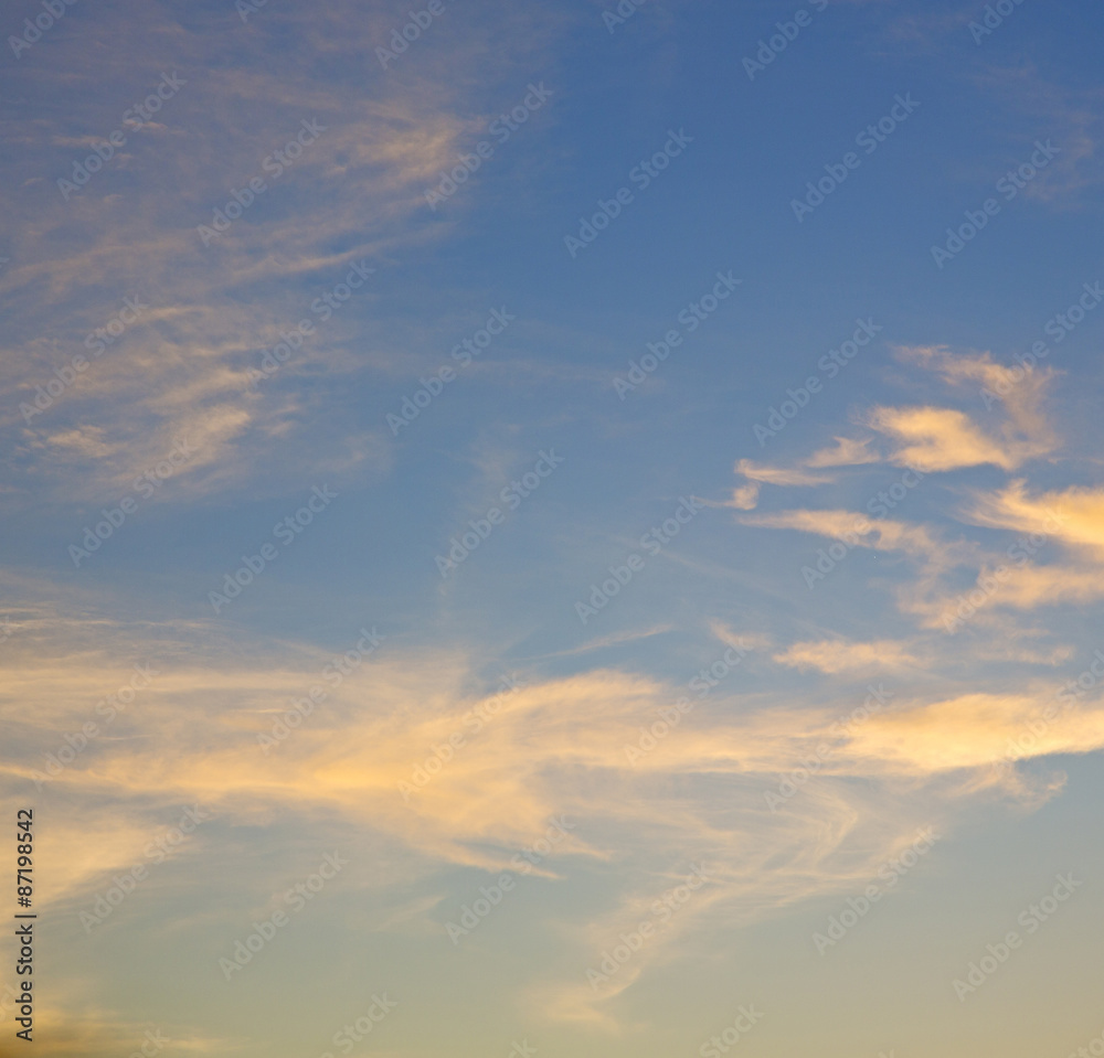 the sunrise in colored sky white soft clouds and abstract backg the sunrise in colored sky white soft clouds and abstract backg