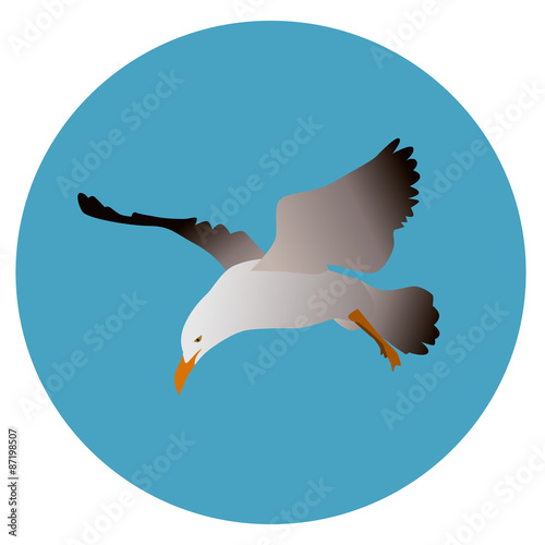 seagull 2
