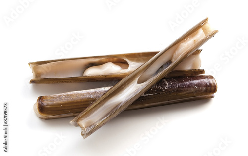 Razor clams isolated on white background. In Spain called navajas. photo