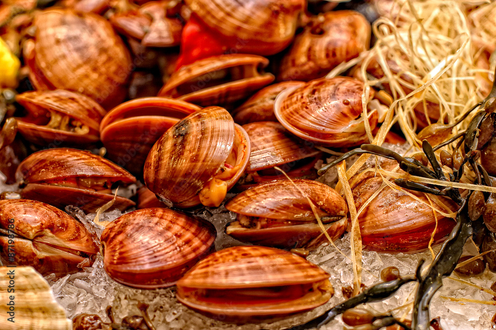 Muscheln Meeresfrüchte Food Muscheln Meeresfrüchte Food