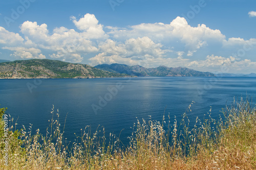sea view with tall yellow grass at foreground
