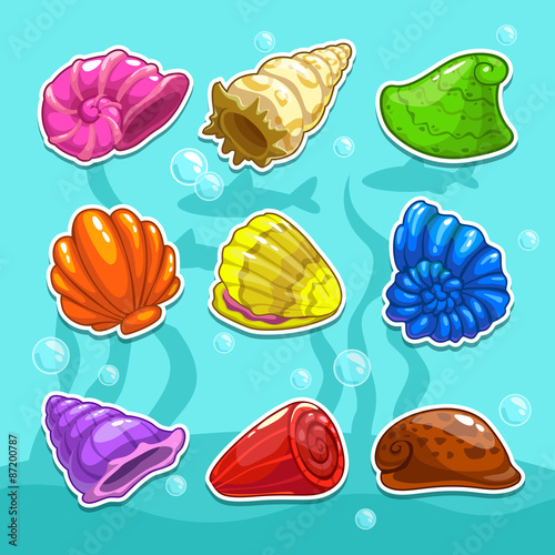 Set of cute cartoon colorful shells, vector illustration