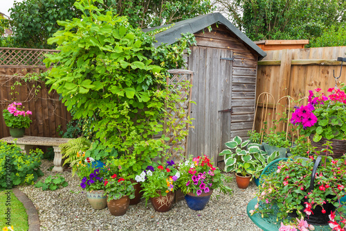 Garden shed surrounded by colorful potted plants and shrubs. photo