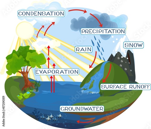 The water cycle