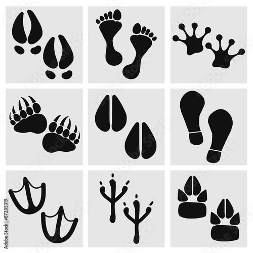 Traces of animals, birds, people