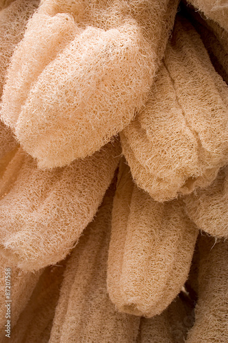 Dried Luffa (Loofah). Full frame detail of natural loofah hanging to dry.