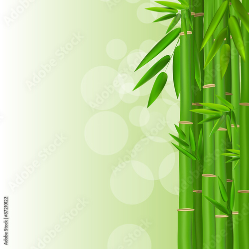 Fototapeta Naklejka Na Ścianę i Meble -  Colorful Stems and Bamboo Leaves Background. Vector Illustration