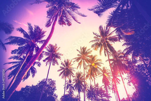 Vintage stonowanych sylwetki palmy o zachodzie słońca.
