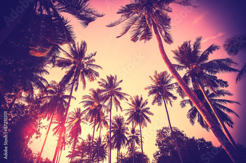 Vintage toned palm tree silhouettes at sunset. © MaciejBledowski