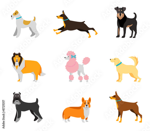 Dogs vector set of icons and illustrations 