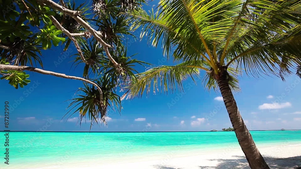 Palm trees over tropical lagoon with white beach