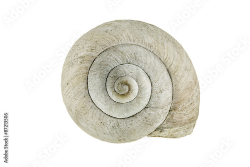 Snail shell