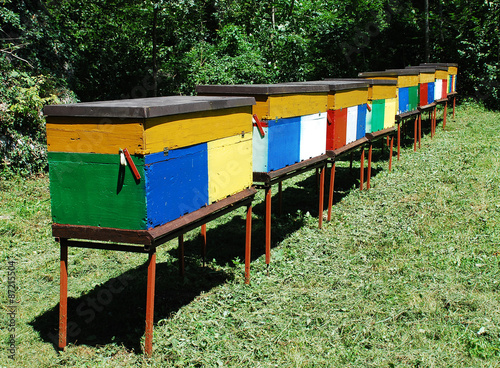 Colourful Beehives