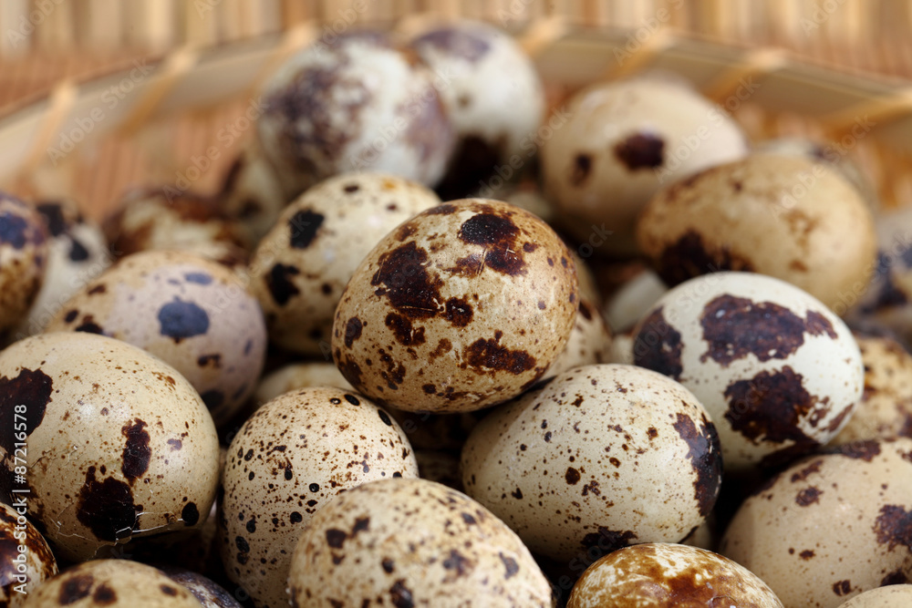 Obraz premium quail eggs on white background