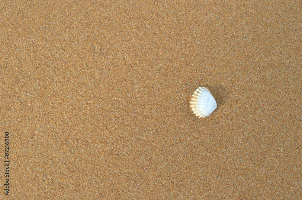 Nature sand background Nature sand background