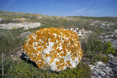 Old lichen-covered stone. photo