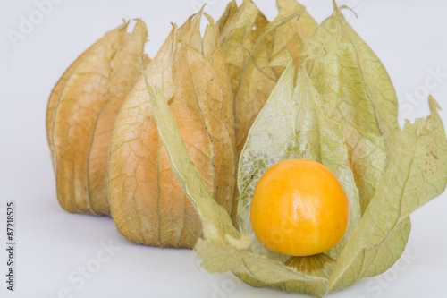 Physalis photo