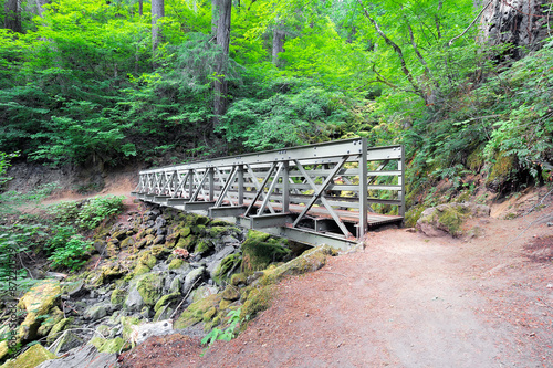 Pedestrian Bridge at Hiking Trail in Washington State