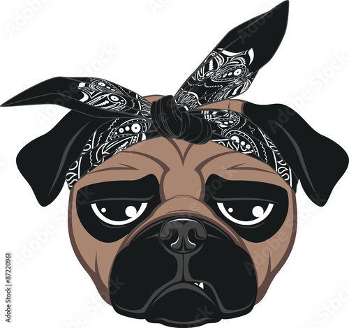 Funny dog