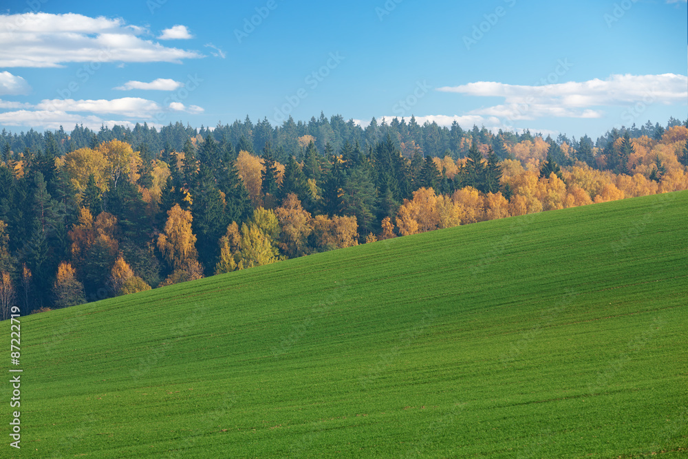 Fototapeta premium autumn