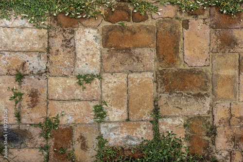 Grass between bricks